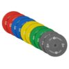 Elite Coloured Bumper Plates (€313.49)