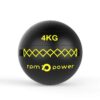 Elite Wall Ball 4kg