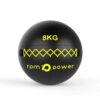Elite Wall Ball 8kg